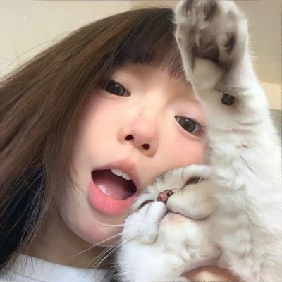 四叠半的艺伎世界